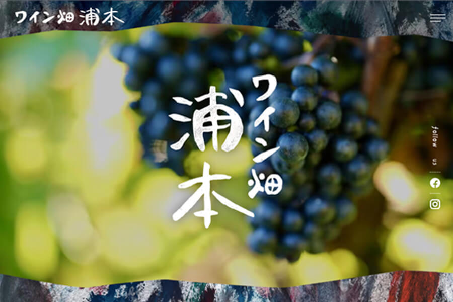 ワイン畑浦本